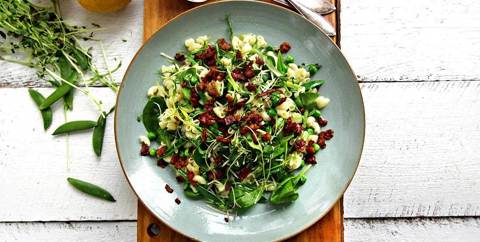 Ärtig pastasallad med knaperstekt bacon och rostade pumpakärnor